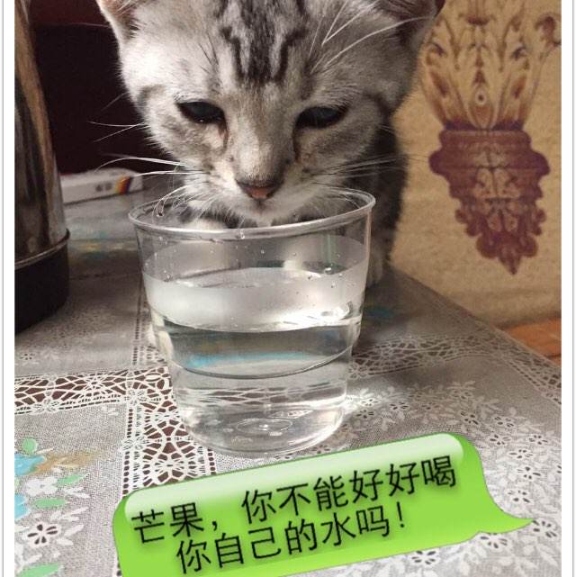 制作阿克伦大学文凭毕业证